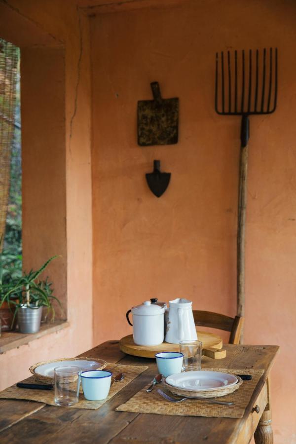 Studio/Flat Rustic Tuscan Marziani 2 カパンノリ エクステリア 写真