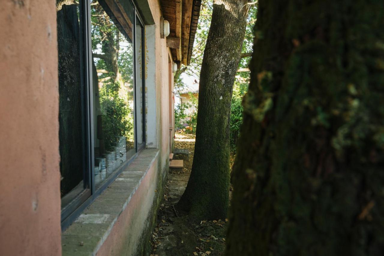 Studio/Flat Rustic Tuscan Marziani 2 カパンノリ エクステリア 写真